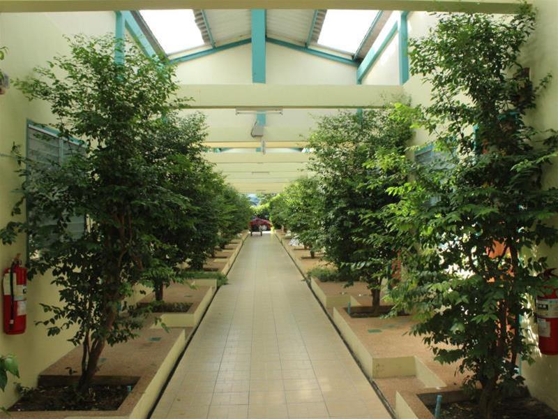 Station touristique Baantonsai Garden 3*